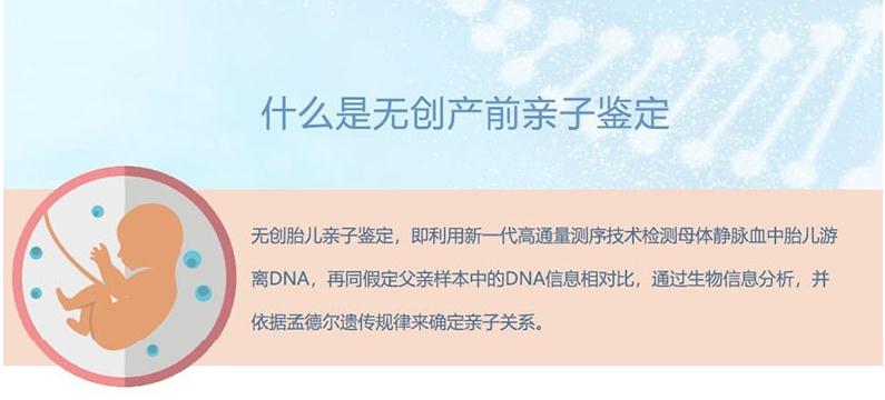 親子鑒定
