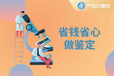 德州親緣親子鑒定檢測公司