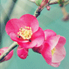 歡迎關(guān)注，在下：劉法醫(yī)